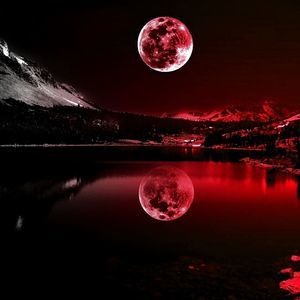 Meet your Posher, Nate